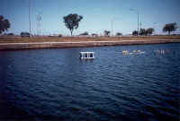 Lake Shore Drive beyond